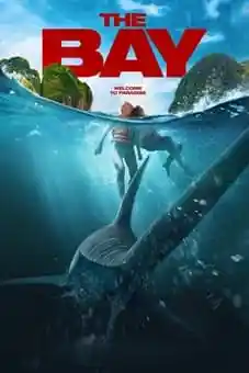 The Bay 2026